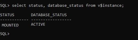 Check Database Status